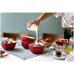 6.5-inch / 2-pc, Large Universal Bowl Set, cherry
