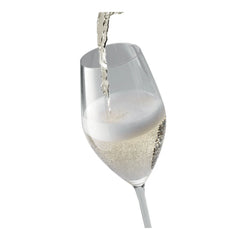 9.5-oz / 6-pc Champagne Set