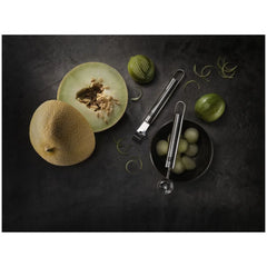 Lemon Zester