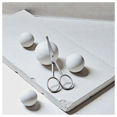 Ear And Nose Hair Scissors - Matt Stainless Steel