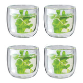 4-pc Tea Glass Set, Double Wall