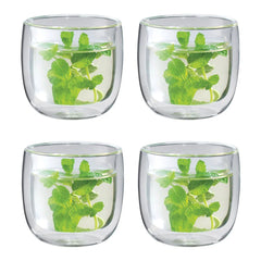 4-pc Tea Glass Set, Double Wall