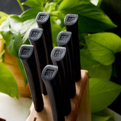 9-pc Steak Knife Set